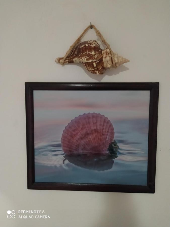 Casa Ohana-Disfruta Del Paraiso Isla Holbox Dış mekan fotoğraf