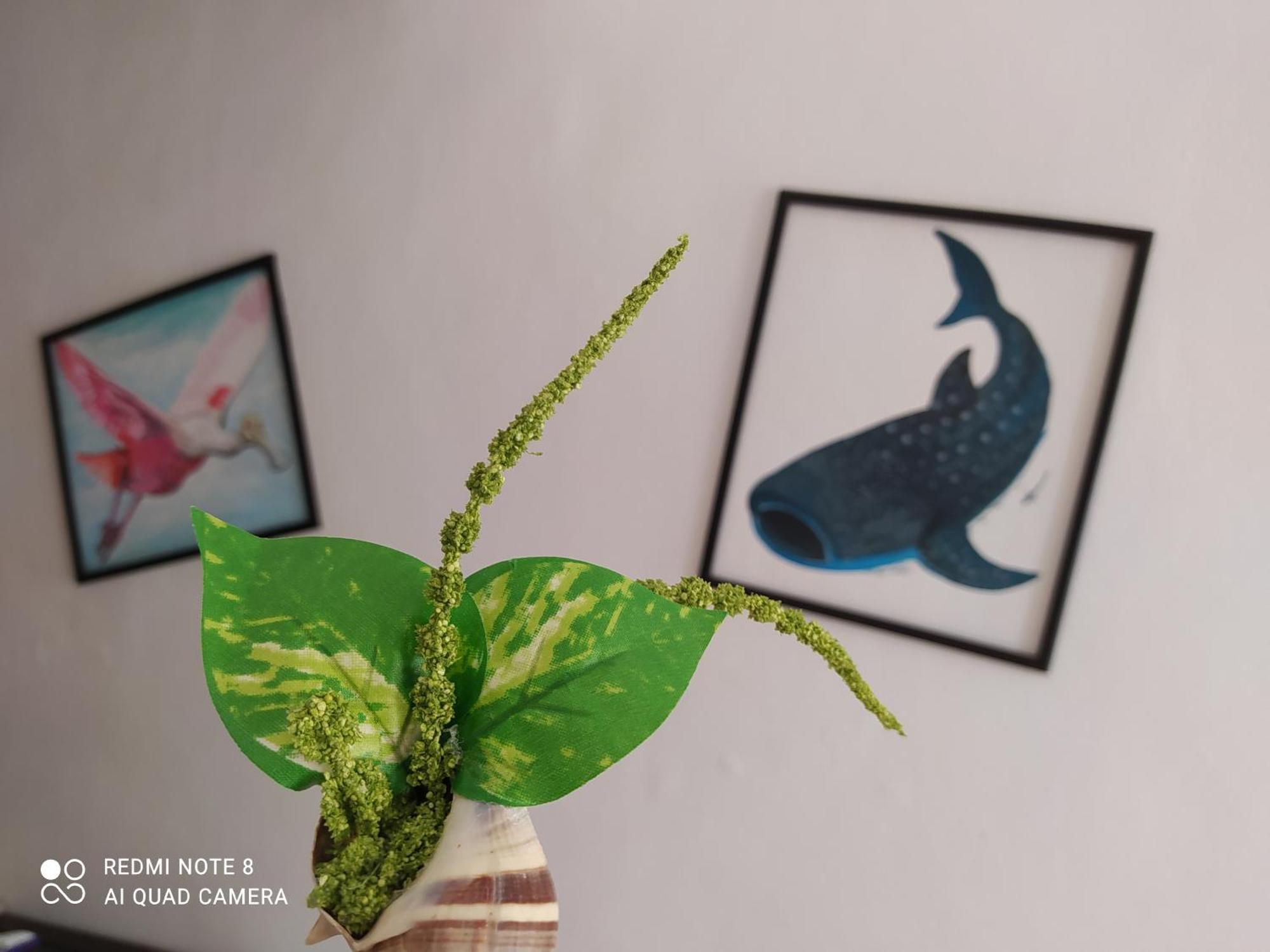 Casa Ohana-Disfruta Del Paraiso Isla Holbox Dış mekan fotoğraf