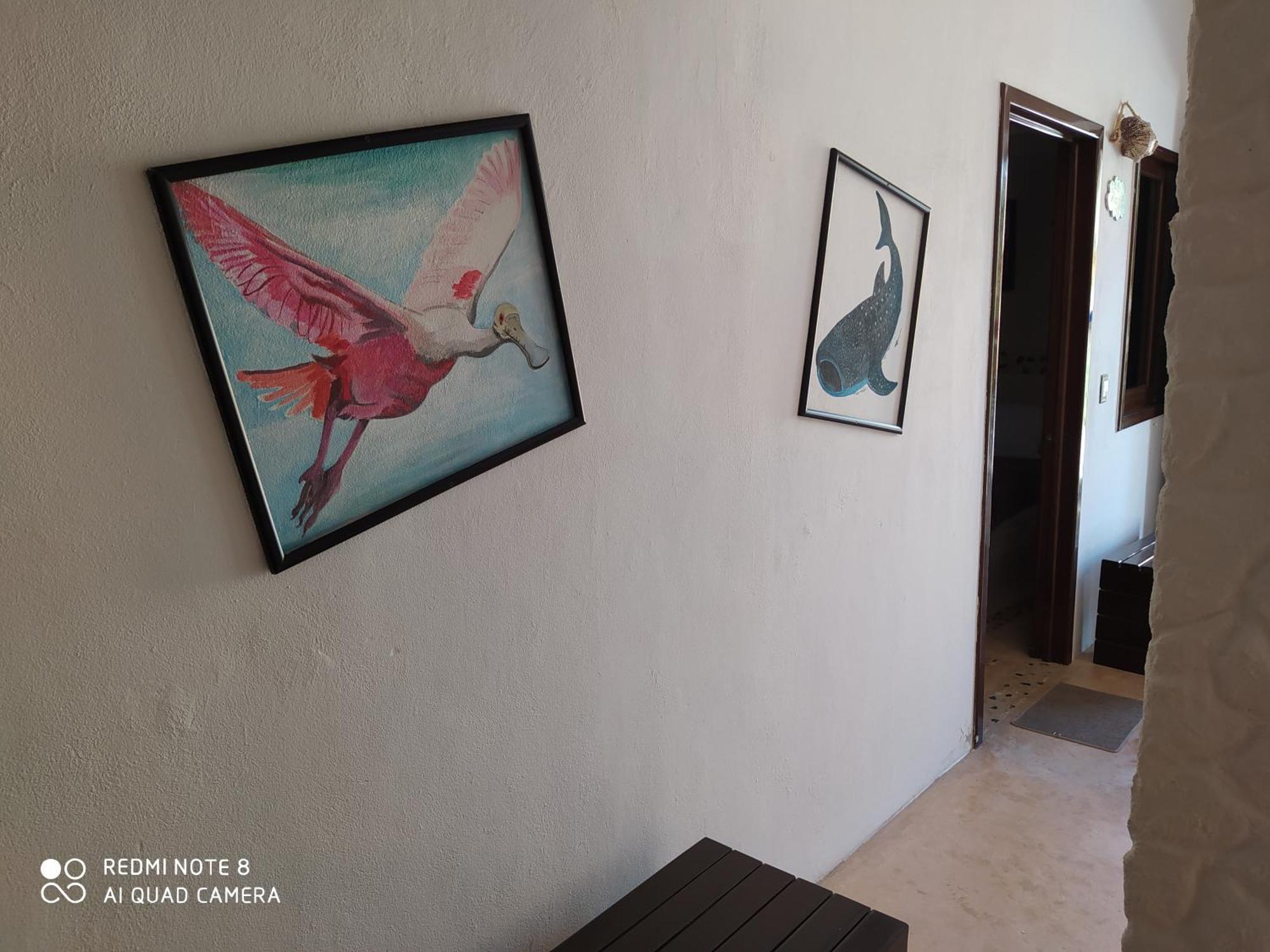 Casa Ohana-Disfruta Del Paraiso Isla Holbox Oda fotoğraf